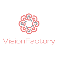 VisionFactory 